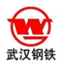 Wuhan Iron and Steel